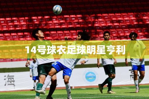 14号球衣足球明星亨利 14号球衣足球明星亨利