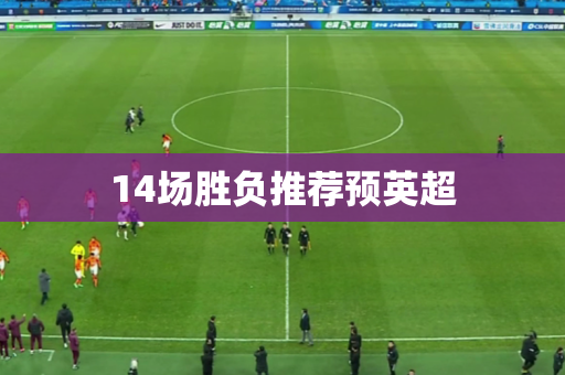 14场胜负推荐预英超