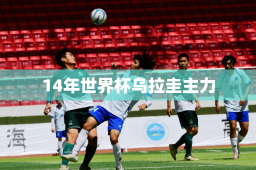 14年世界杯乌拉圭主力 14年世界杯乌拉圭主力