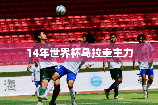 14年世界杯乌拉圭主力