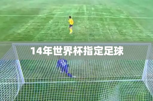 14年世界杯指定足球