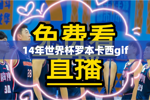 14年世界杯罗本卡西gif 14年世界杯罗本卡西gif