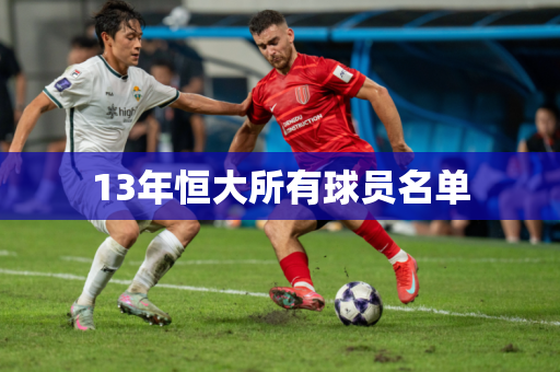 13年恒大所有球员名单