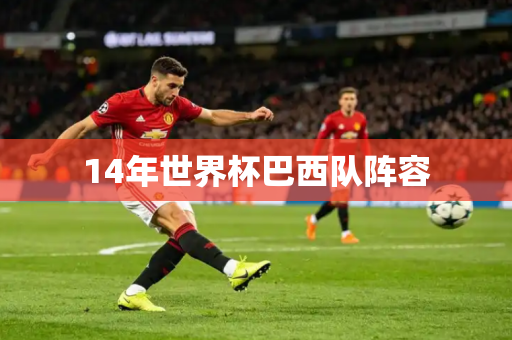 14年世界杯巴西队阵容