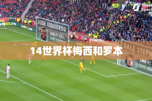 14世界杯梅西和罗本