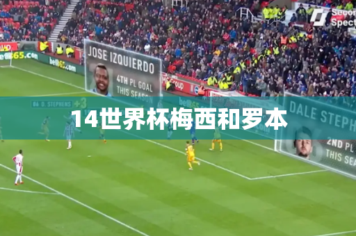14世界杯梅西和罗本