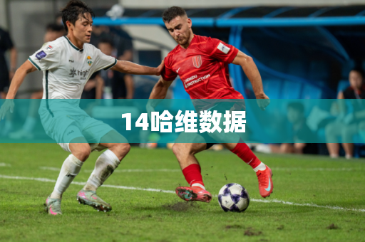 14哈维数据 14哈维数据