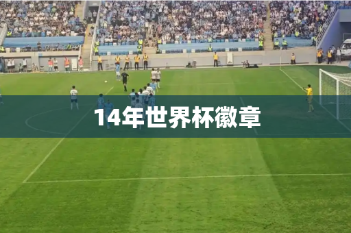 14年世界杯徽章