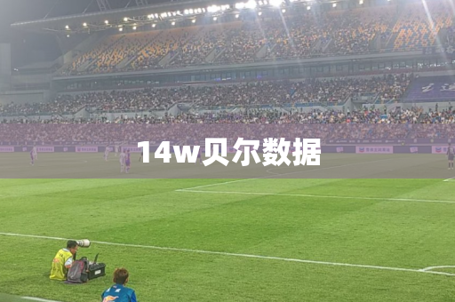 14w贝尔数据