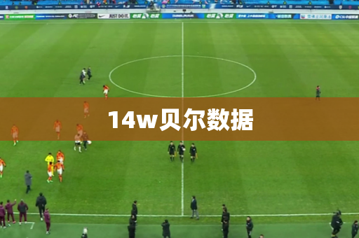 14w贝尔数据
