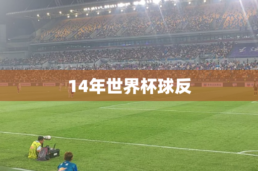 14年世界杯球反 14年世界杯球反