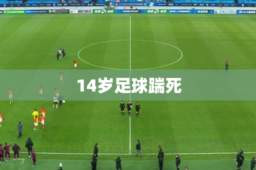 14岁足球踹死