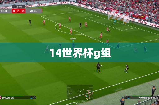 14世界杯g组