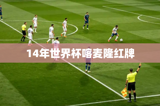 14年世界杯喀麦隆红牌