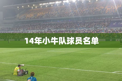 14年小牛队球员名单