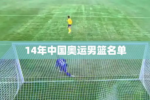 14年中国奥运男篮名单