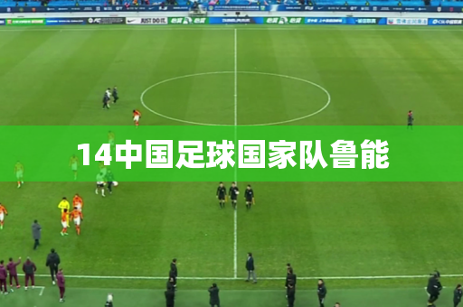 14中国足球国家队鲁能