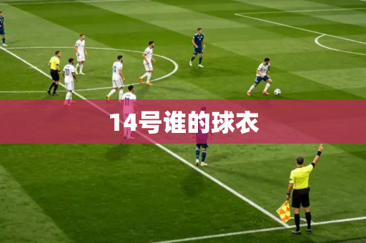 14号谁的球衣