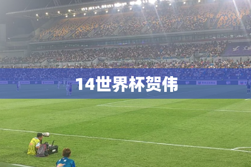 14世界杯贺伟 14世界杯贺伟