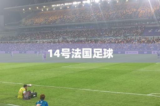 14号法国足球 14号法国足球