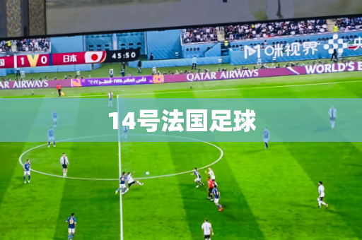 14号法国足球 14号法国足球