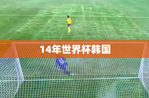 14年世界杯韩国 14年世界杯韩国
