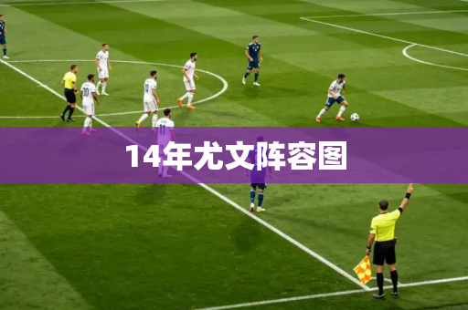 14年尤文阵容图