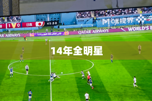 14年全明星