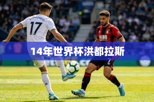 14年世界杯洪都拉斯 14年世界杯洪都拉斯