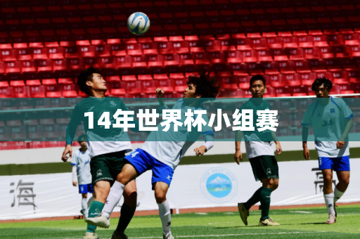 14年世界杯小组赛