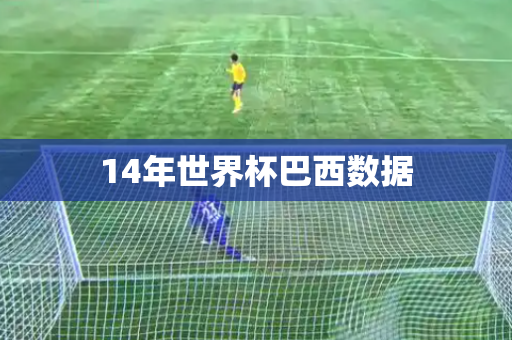 14年世界杯巴西数据 14年世界杯巴西数据