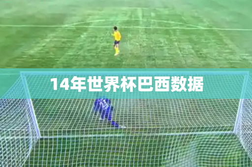 14年世界杯巴西数据 14年世界杯巴西数据