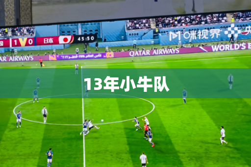13年小牛队 13年小牛队