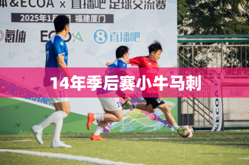 14年季后赛小牛马刺 14年季后赛小牛马刺