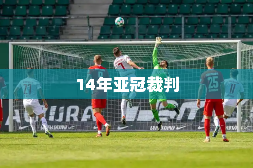 14年亚冠裁判