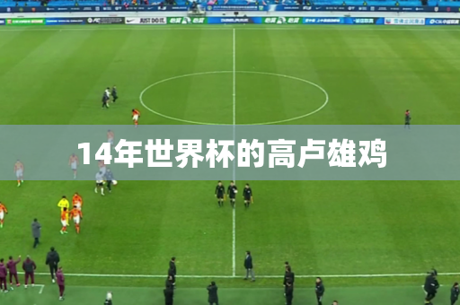 14年世界杯的高卢雄鸡