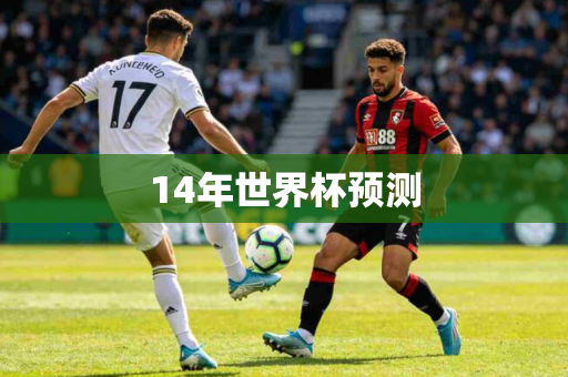 14年世界杯预测