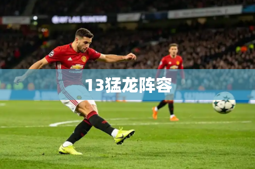 13猛龙阵容