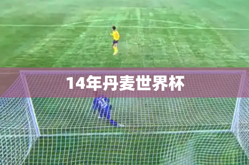 14年丹麦世界杯 14年丹麦世界杯