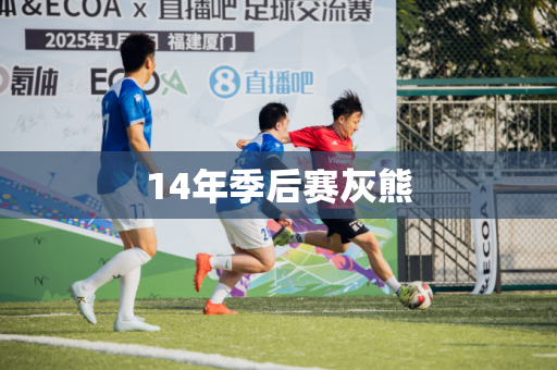 14年季后赛灰熊
