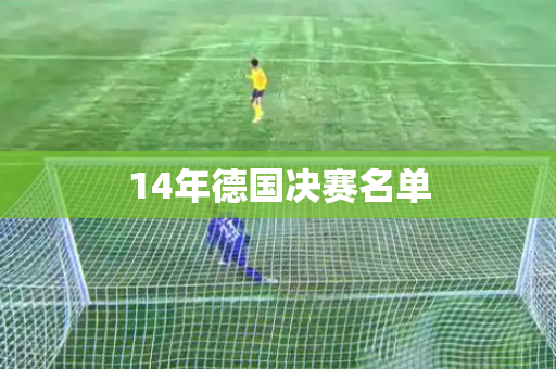 14年德国决赛名单