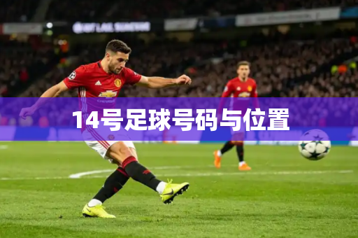 14号足球号码与位置