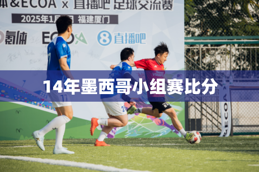 14年墨西哥小组赛比分 14年墨西哥小组赛比分