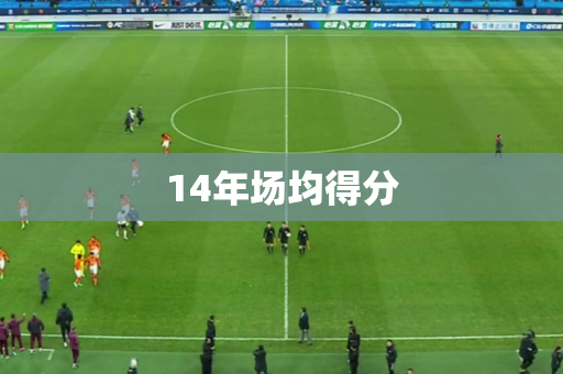 14年场均得分 14年场均得分