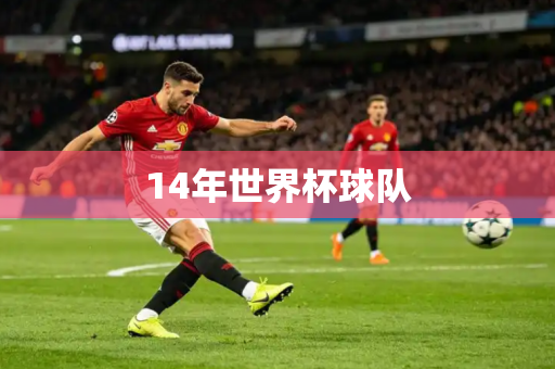 14年世界杯球队 14年世界杯球队