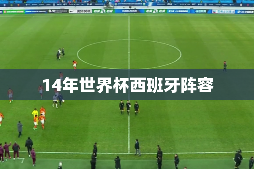 14年世界杯西班牙阵容 14年世界杯西班牙阵容