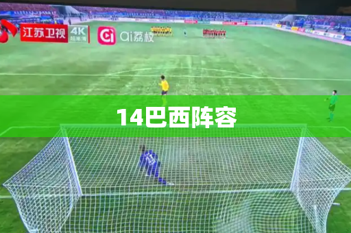 14巴西阵容 14巴西阵容