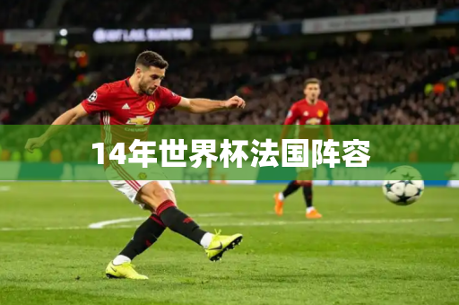 14年世界杯法国阵容