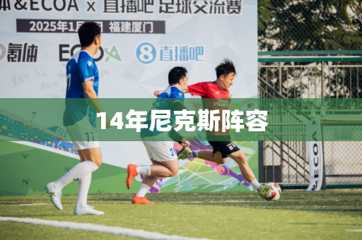14年尼克斯阵容