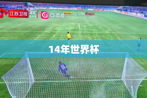 14年世界杯 14年世界杯